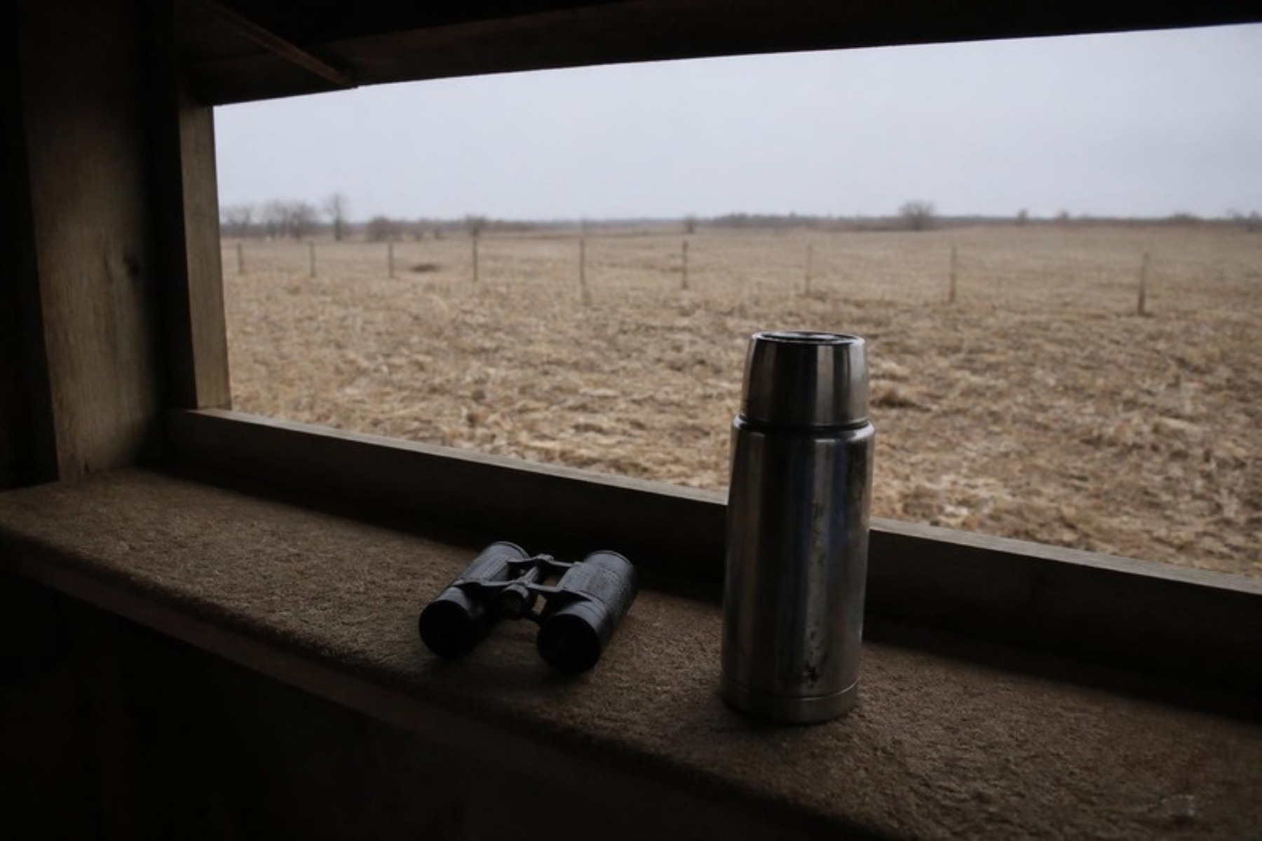 Binoculars and a steel thermos on the padded window ledge of a box blind, looking out over harvested milo stubble and a fence line on an overcast Texas Panhandle dawn.